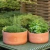 Terracotta Herb Bowl - Large