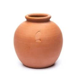 Terracotta Erigeron Pot - Large 8 Terracotta Erigeron Pot - Large -Plants Shop pr2000046528 card4 lg