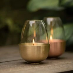 Tulip Tealight Holder - Brass 15 Tulip Tealight Holder - Brass -Plants Shop pr2000046889 card8 lg
