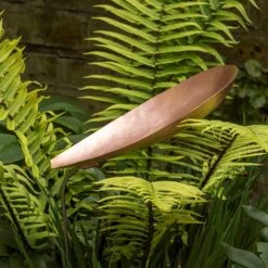 Pot Watering Droplet - Copper Scallop 10 Pot Watering Droplet - Copper Scallop -Plants Shop pr2000046900 card5 lg