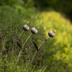 Poppy Seed Head Stake - Large Seed Head -Plants Shop pr2000046971 card9 lg
