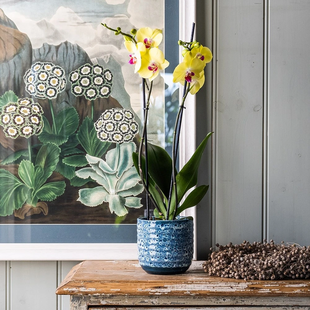 Reactive Glaze Plant Pot - Blue 2 Reactive Glaze Plant Pot - Blue - Image 2