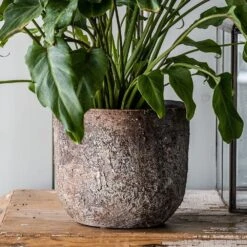 Rustic Plant Pot - Brown -Plants Shop pr2000047913 card4 lg