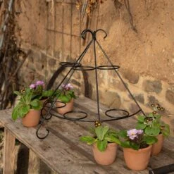 Tiered Plant Theatre - 6 Pots -Plants Shop pr2000048005 card3 lg