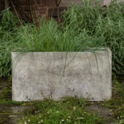 Rectangular Terrace Planter - Weathered Cream 12 Rectangular Terrace Planter - Weathered Cream -Plants Shop pr2000048714 card3 lg