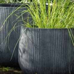 Ripple Bowl Planter - Ash Grey -Plants Shop pr2000048719 card5 lg