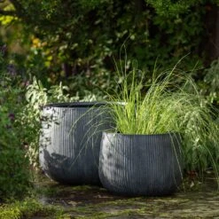 Ripple Bowl Planter - Ash Grey -Plants Shop pr2000048719 card6 lg