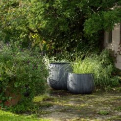 Ripple Bowl Planter - Ash Grey -Plants Shop pr2000048719 card8 lg