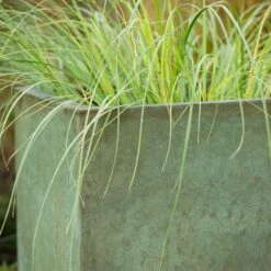Square Terrace Planter - Verdigris -Plants Shop pr2000048721 card8 lg