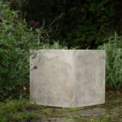 New Release -Plants Shop pr2000048723 card2 lg