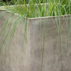 Square Terrace Planter - Weathered Cream 11 Square Terrace Planter - Weathered Cream -Plants Shop pr2000048723 card5 lg