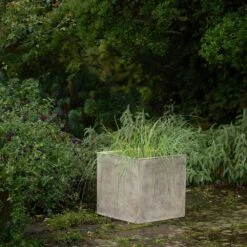 Square Terrace Planter - Weathered Cream 12 Square Terrace Planter - Weathered Cream -Plants Shop pr2000048723 card6 lg