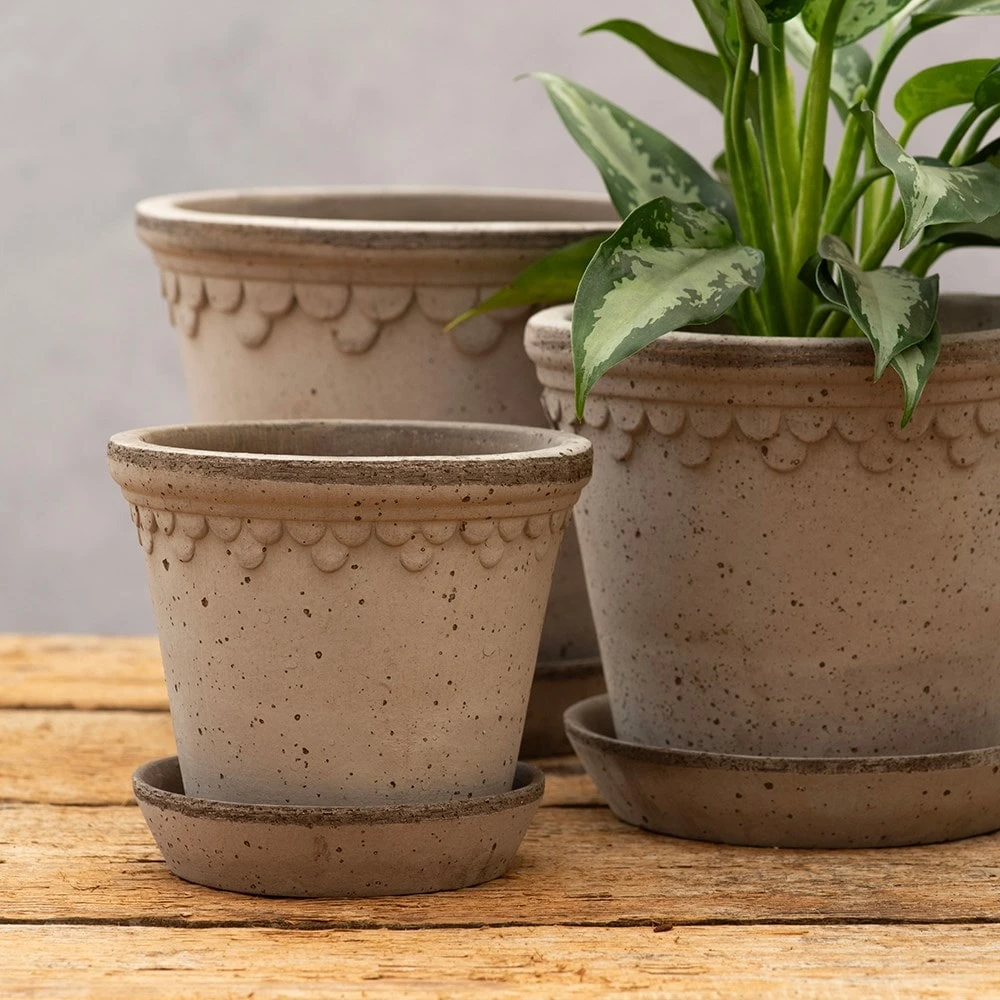 Scalloped Tapered Plant Pot With Saucer - Grey Terracotta 2 Scalloped Tapered Plant Pot With Saucer - Grey Terracotta - Image 2