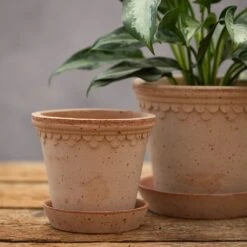 Scalloped Tapered Plant Pot With Saucer - Terracotta -Plants Shop pr2000049052 card4 lg