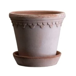 Scalloped Tapered Plant Pot With Saucer - Terracotta -Plants Shop pr2000049052 card5 lg