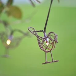 Solar Robins String Lights Warm White -Plants Shop pr2000049109 card3 lg